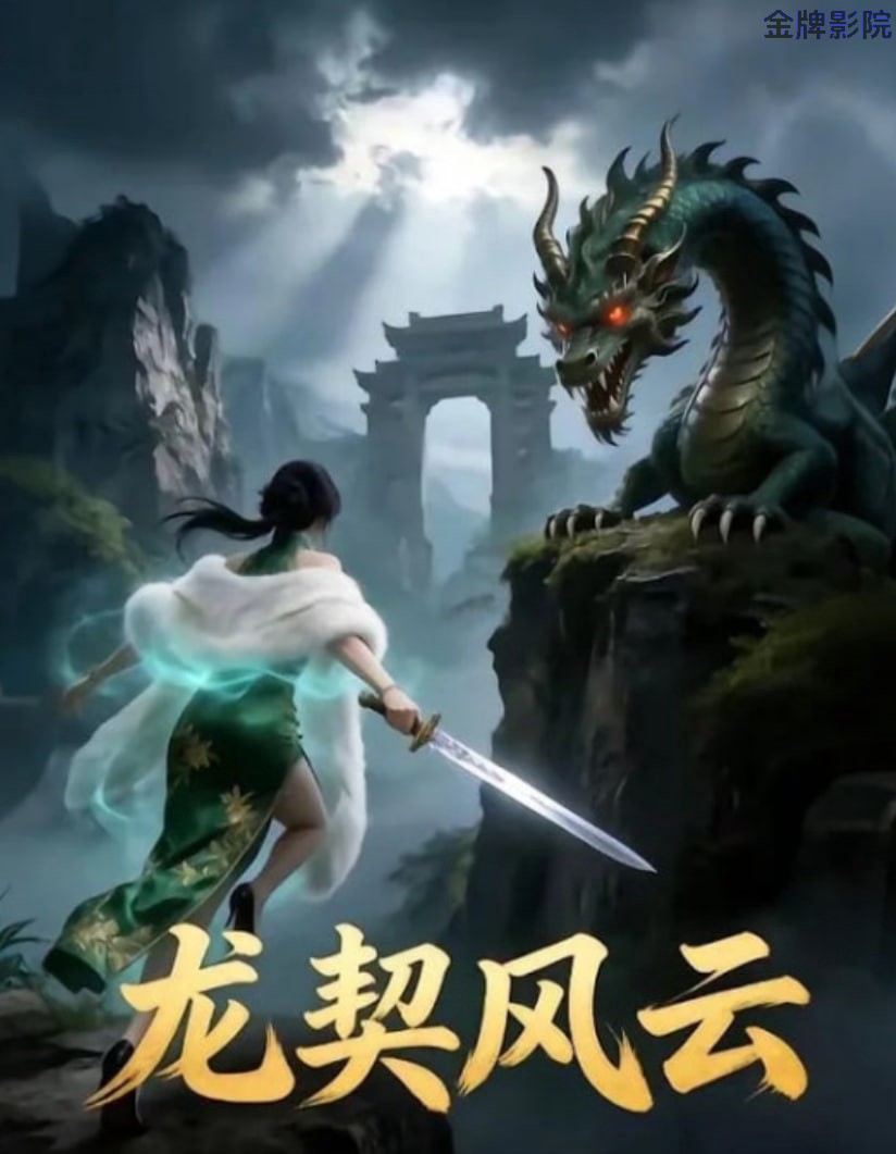 龙契风云