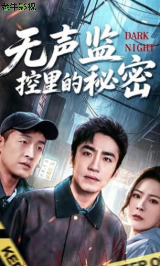 无声监控里的秘密