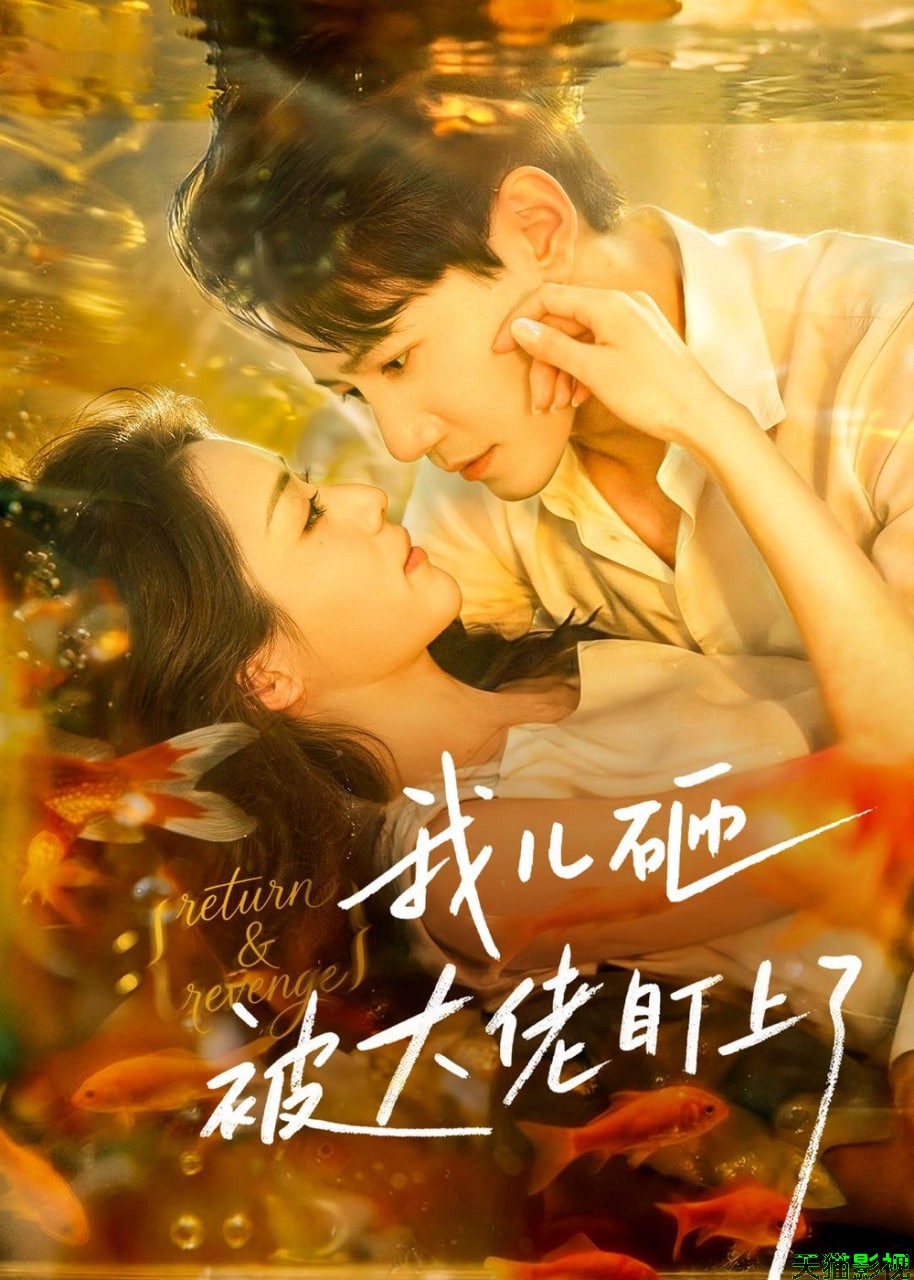 我儿砸被大佬盯上了